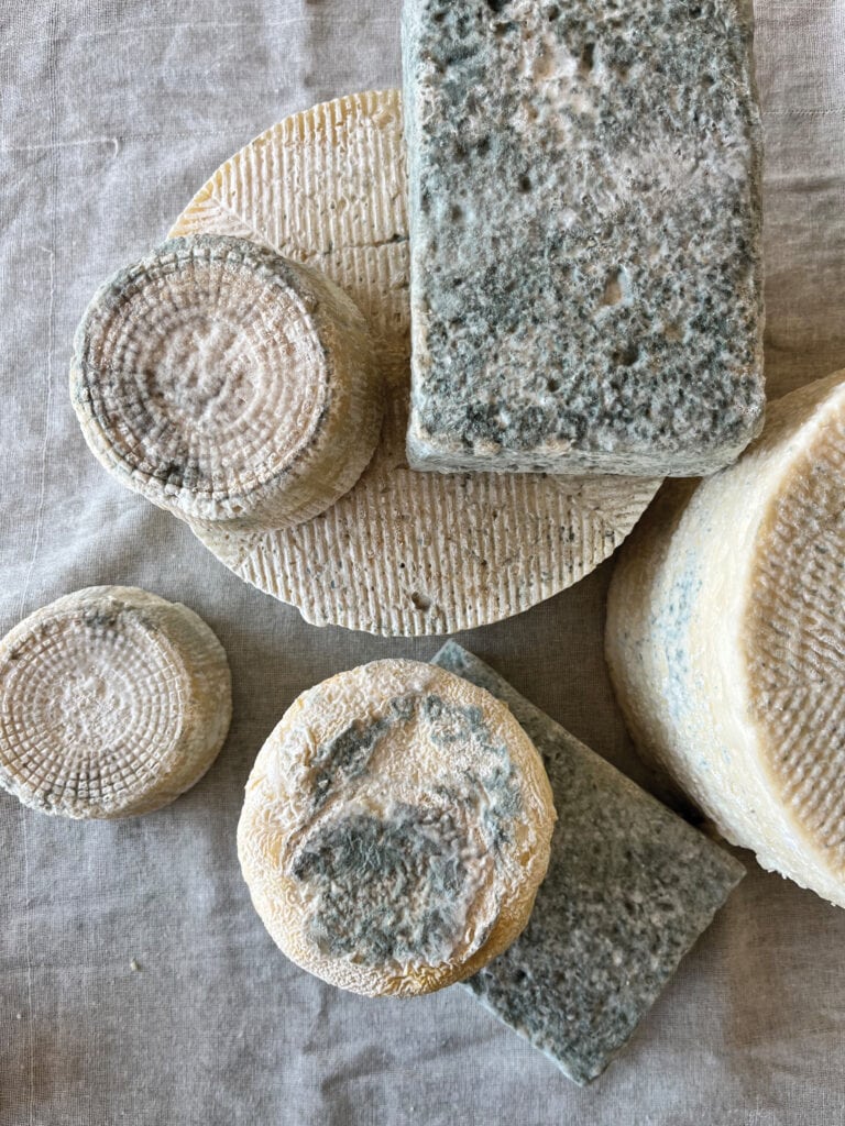 A group of natural-rind cheeses.